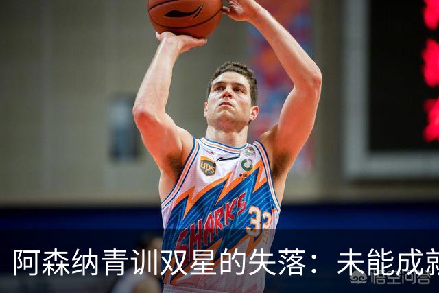 阿森纳青训双星的失落：未能成就的潜力与遗憾